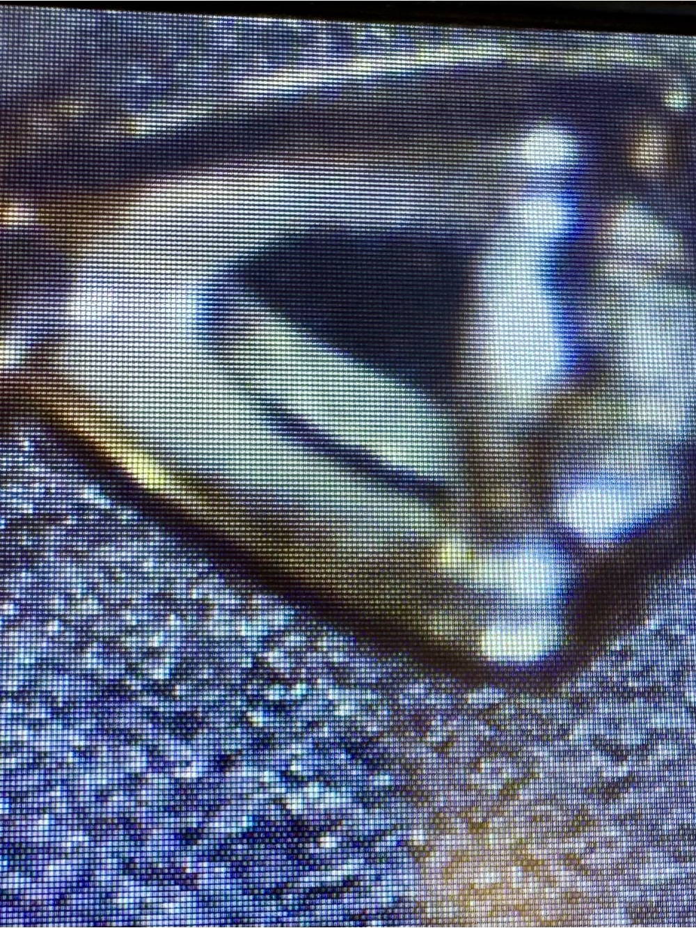 Classic Brushed 14kt Gold Solitaire Ring with Natural Diamond - Picture 6 of 11